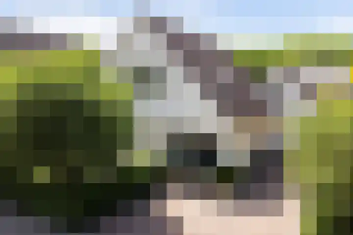 Remy van Haanenstraat 8 Oosterhout thumbnail 30