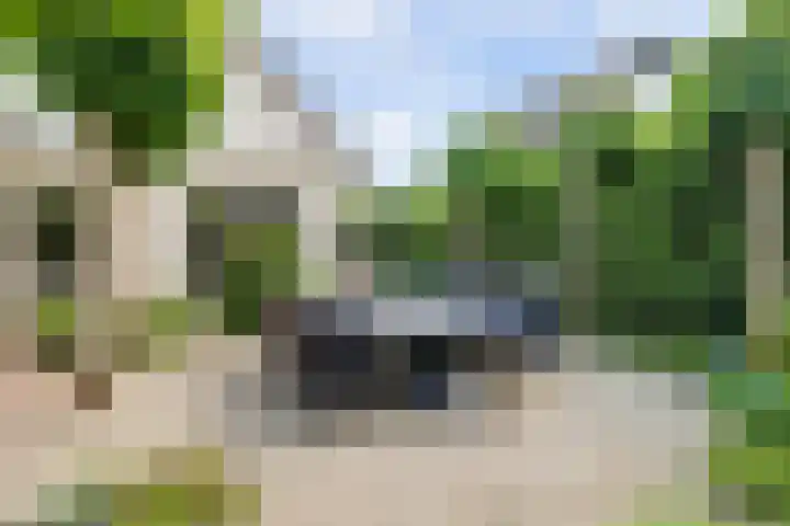 Remy van Haanenstraat 8 Oosterhout thumbnail 32