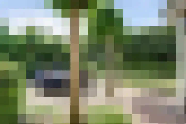 Remy van Haanenstraat 8 Oosterhout thumbnail 34