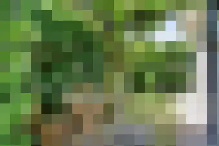 Remy van Haanenstraat 8 Oosterhout thumbnail 36