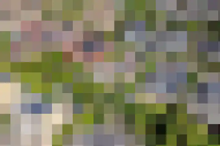 Remy van Haanenstraat 8 Oosterhout thumbnail 40