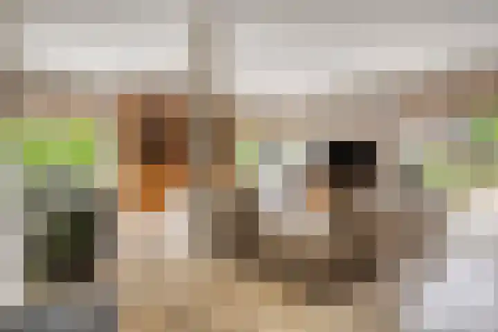 Renaissancelaan 29 Alphen aan den Rijn thumbnail 10
