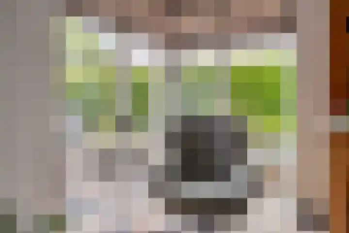 Renaissancelaan 29 Alphen aan den Rijn thumbnail 11