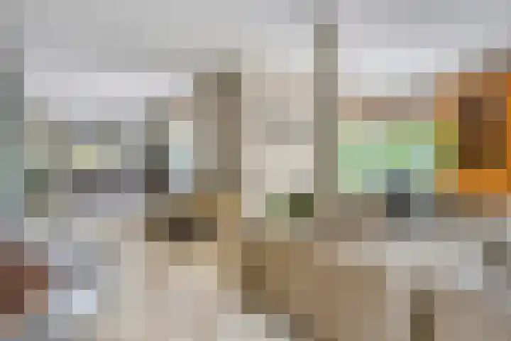 Renaissancelaan 29 Alphen aan den Rijn thumbnail 12