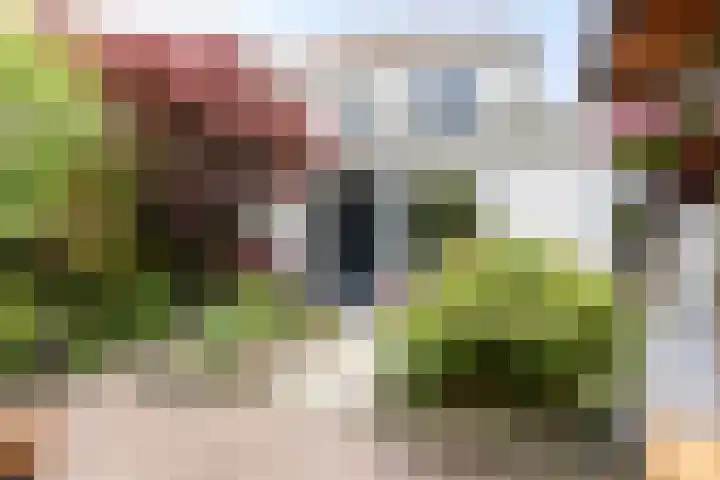 Renaissancelaan 29 Alphen aan den Rijn thumbnail 16