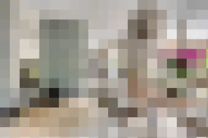 Renaissancelaan 29 Alphen aan den Rijn thumbnail 17
