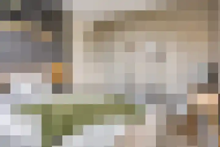 Renaissancelaan 29 Alphen aan den Rijn thumbnail 23