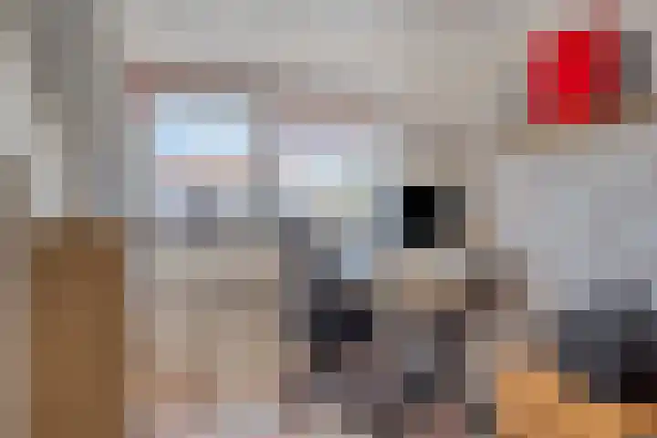 Renaissancelaan 29 Alphen aan den Rijn thumbnail 33