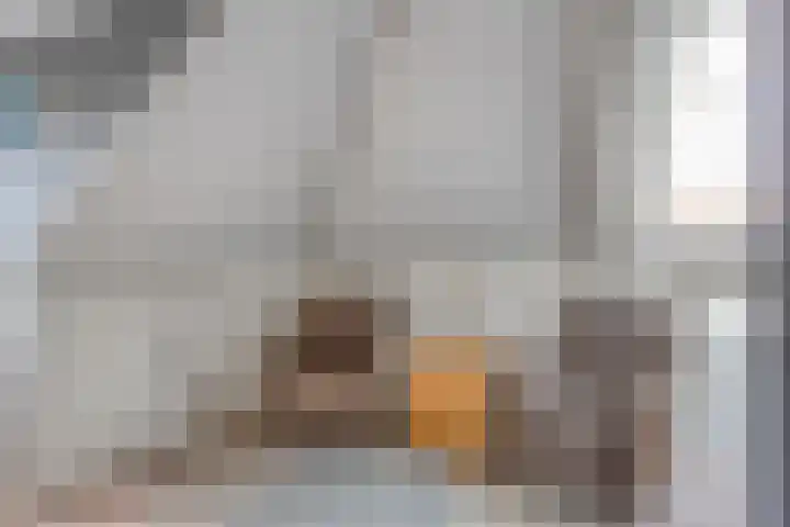 Renaissancelaan 29 Alphen aan den Rijn thumbnail 34