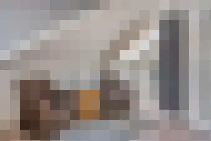 Renaissancelaan 29 Alphen aan den Rijn thumbnail 35
