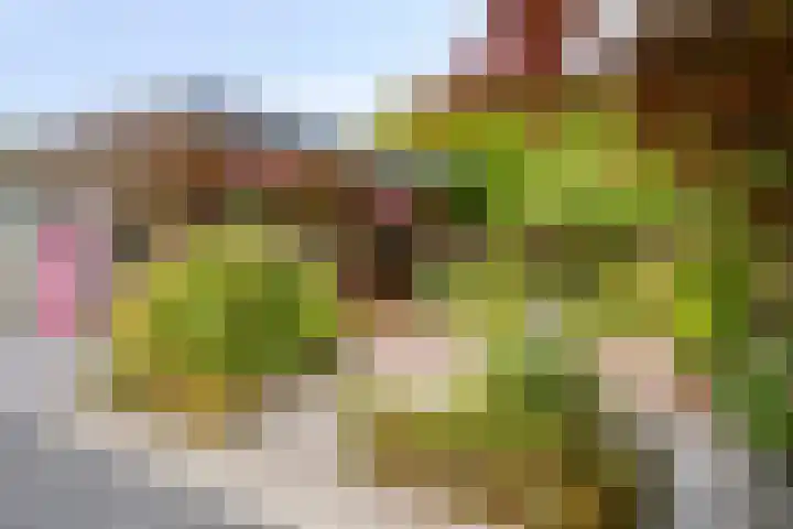 Renaissancelaan 29 Alphen aan den Rijn thumbnail 36