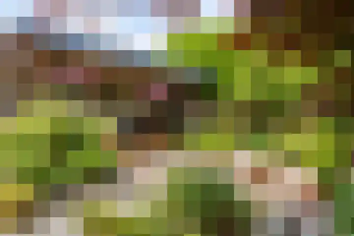 Renaissancelaan 29 Alphen aan den Rijn thumbnail 37
