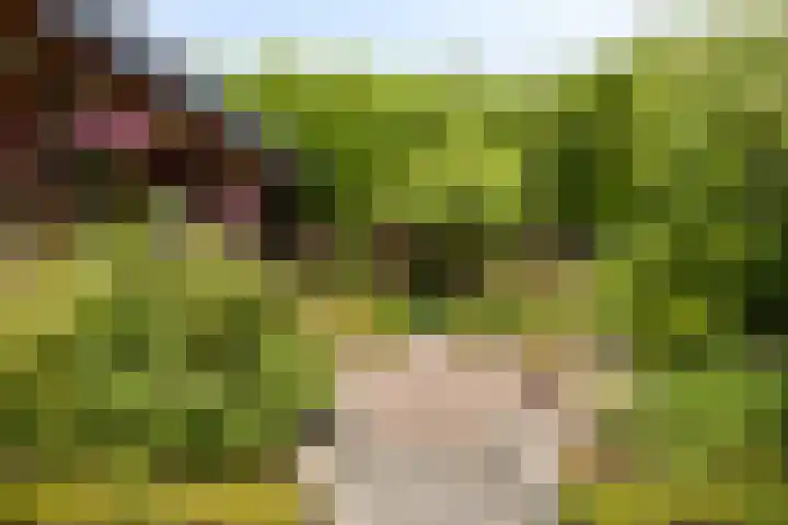 Renaissancelaan 29 Alphen aan den Rijn thumbnail 38