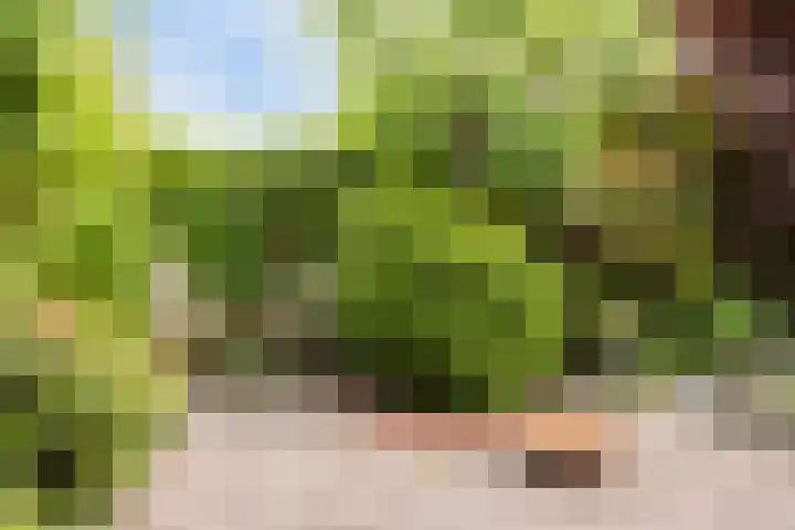 Renaissancelaan 29 Alphen aan den Rijn thumbnail 39