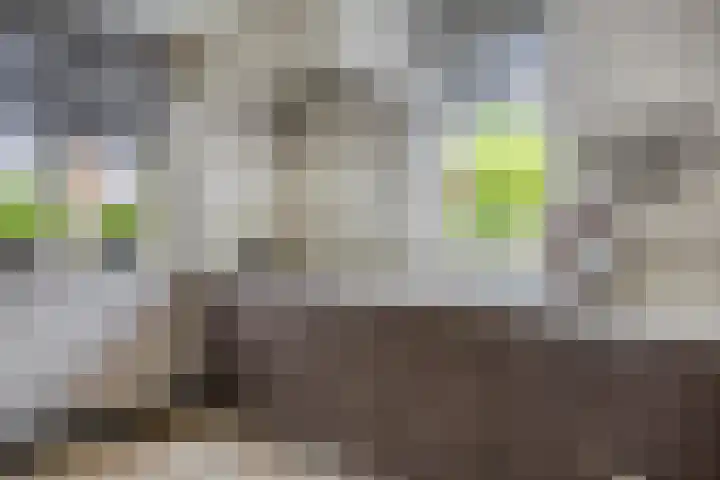 Renaissancelaan 29 Alphen aan den Rijn thumbnail 4