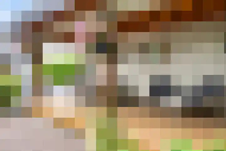 Renaissancelaan 29 Alphen aan den Rijn thumbnail 41