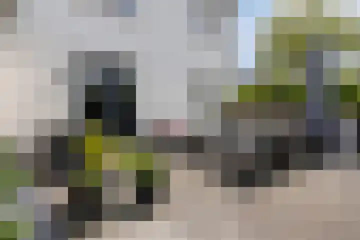 Renaissancelaan 29 Alphen aan den Rijn thumbnail 43