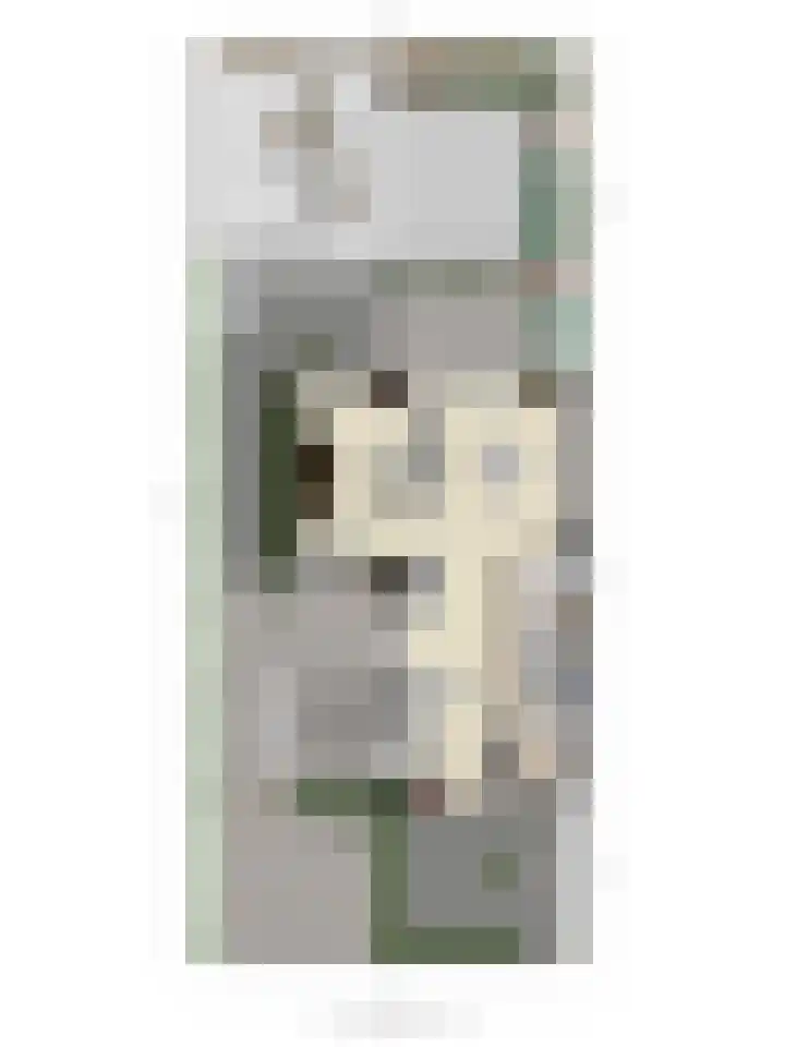 Renaissancelaan 29 Alphen aan den Rijn thumbnail 48