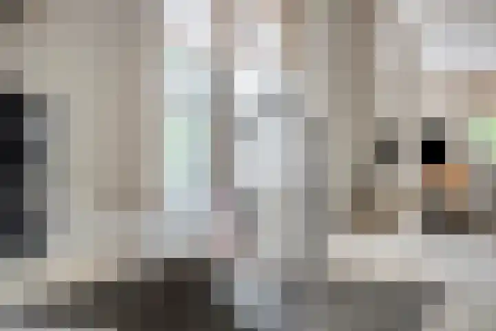 Renaissancelaan 29 Alphen aan den Rijn thumbnail 6