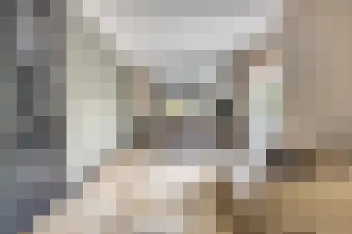 Renaissancelaan 29 Alphen aan den Rijn thumbnail 8