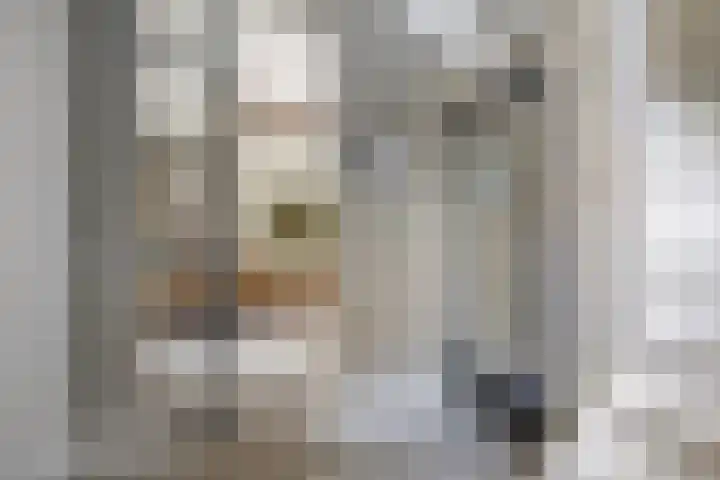 Renaissancelaan 90 Alphen aan den Rijn thumbnail 10