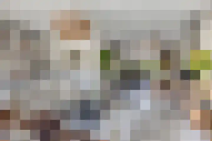 Renaissancelaan 90 Alphen aan den Rijn thumbnail 16