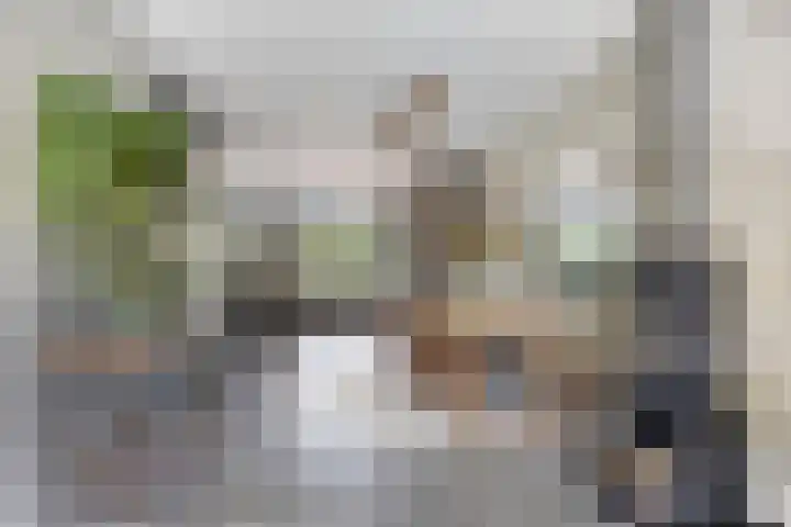 Renaissancelaan 90 Alphen aan den Rijn thumbnail 17