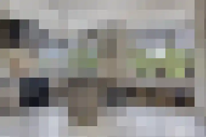 Renaissancelaan 90 Alphen aan den Rijn thumbnail 18