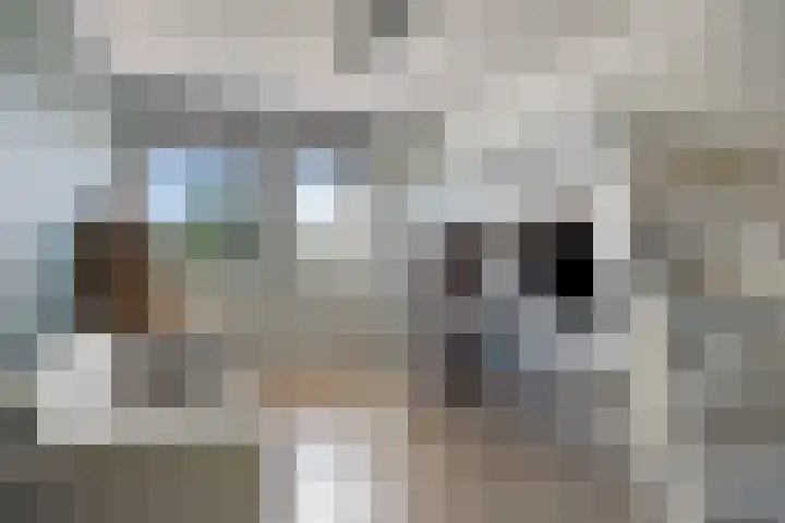 Renaissancelaan 90 Alphen aan den Rijn thumbnail 29