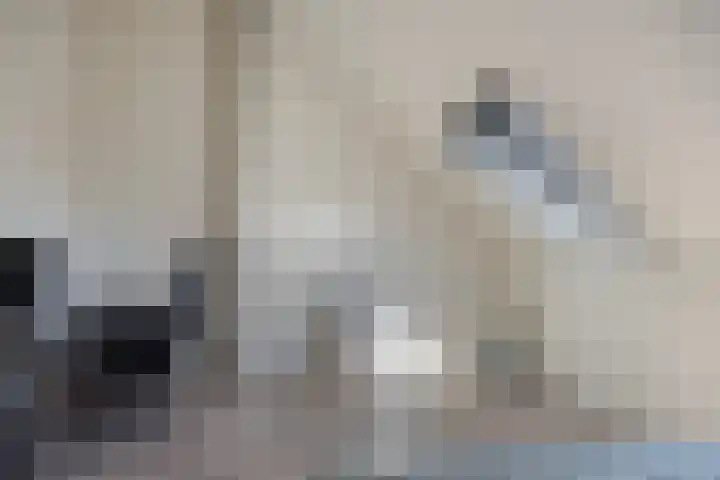 Renaissancelaan 90 Alphen aan den Rijn thumbnail 37