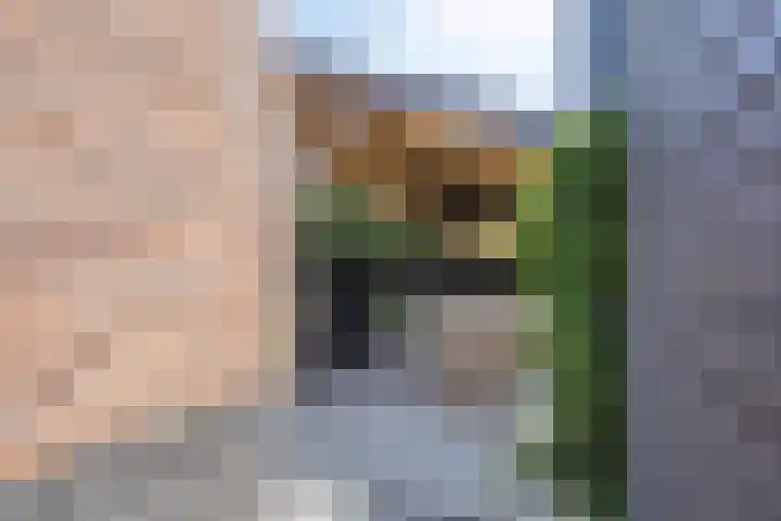 Renaissancelaan 90 Alphen aan den Rijn thumbnail 42