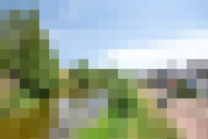 Renaissancelaan 90 Alphen aan den Rijn thumbnail 47