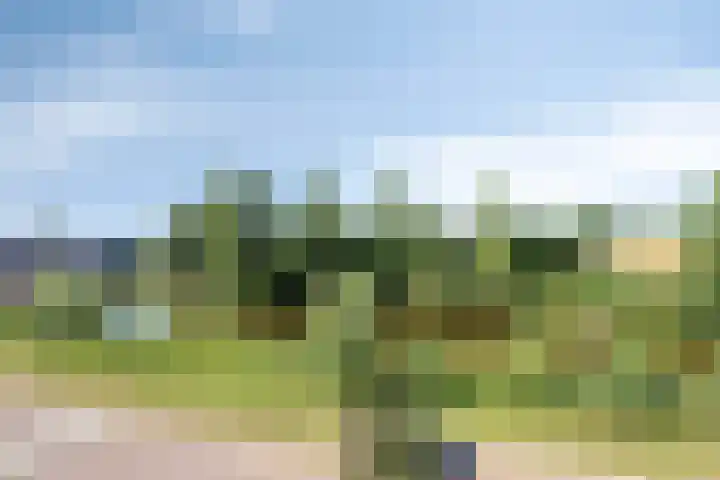 Renaissancelaan 90 Alphen aan den Rijn thumbnail 48