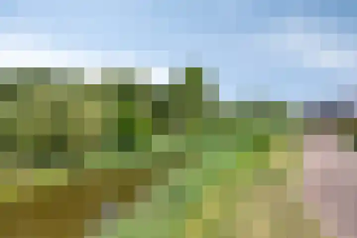 Renaissancelaan 90 Alphen aan den Rijn thumbnail 49