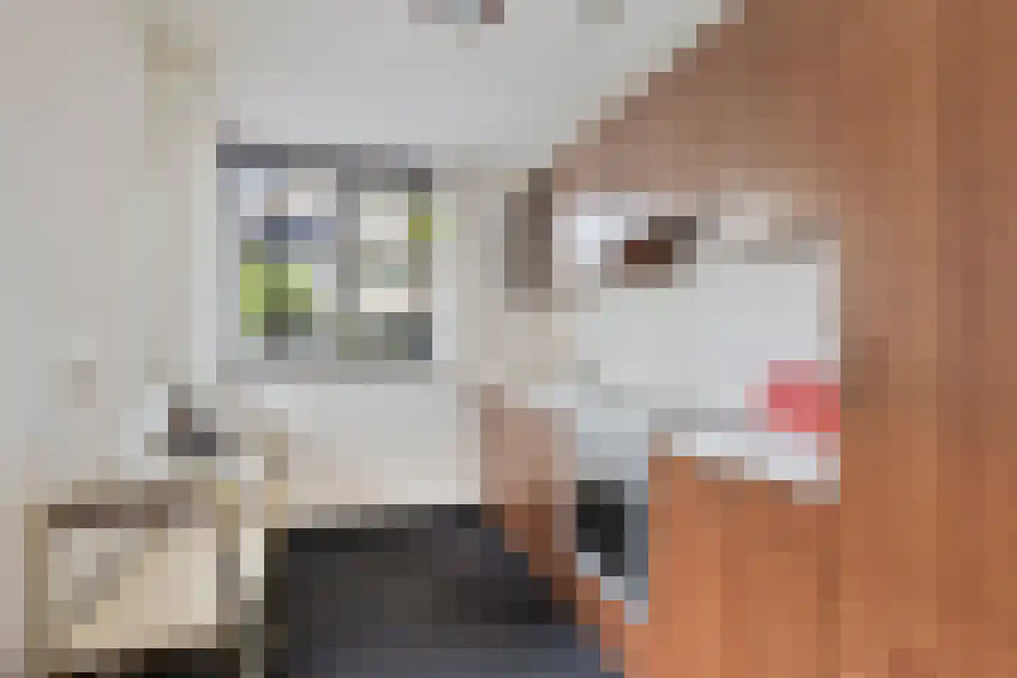 Renata 22 Oisterwijk thumbnail 16