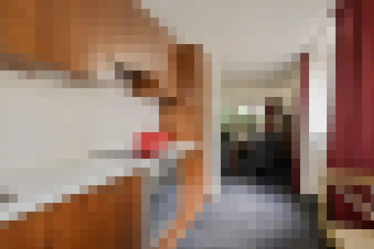 Renata 22 Oisterwijk thumbnail 18