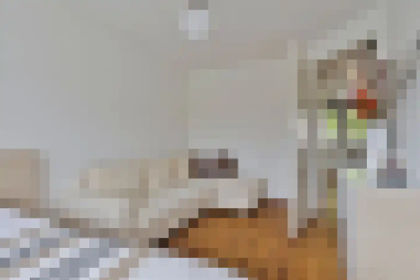 Renata 22 Oisterwijk thumbnail 21