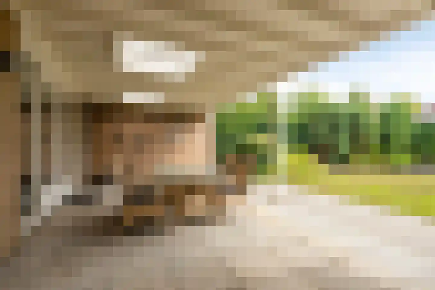 Renata 22 Oisterwijk thumbnail 31