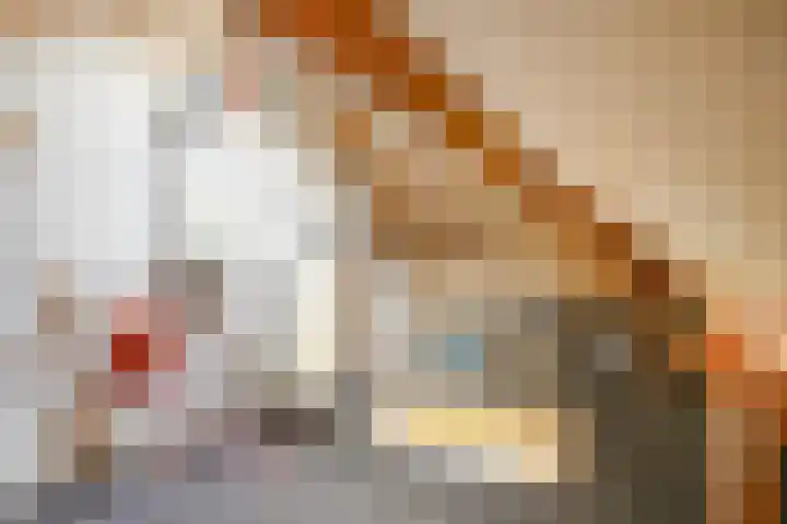 Renata 4 Oisterwijk thumbnail 26