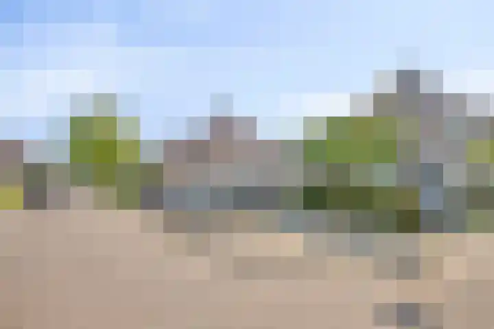 Renata 4 Oisterwijk thumbnail 30