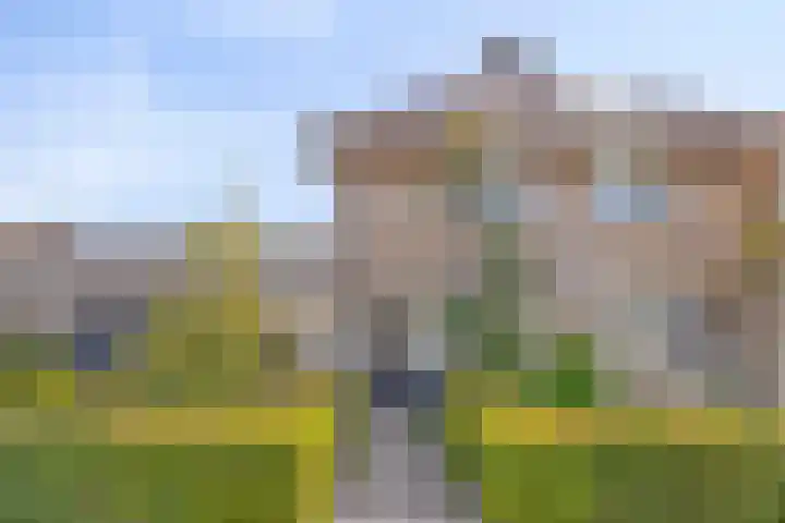 Renata 4 Oisterwijk thumbnail 34