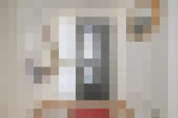 Renata 4 Oisterwijk thumbnail 4