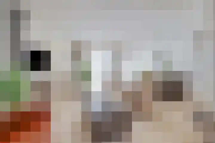 Renata 4 Oisterwijk thumbnail 7