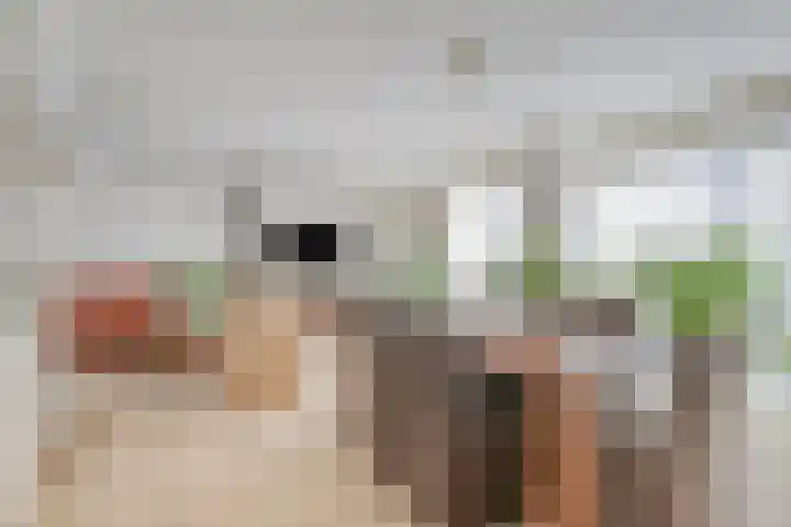 Renata 4 Oisterwijk thumbnail 8