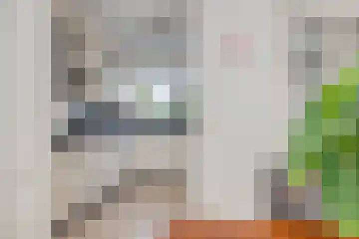 Renata 4 Oisterwijk thumbnail 9