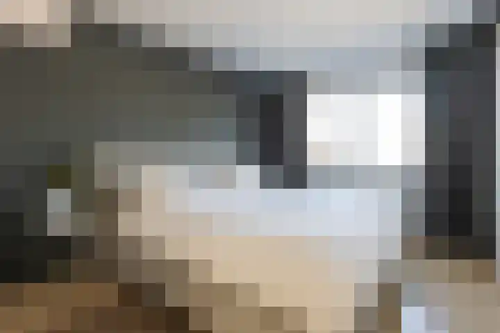 Renata 45 Oisterwijk thumbnail 10