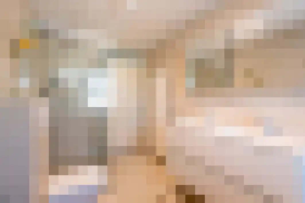 Renata 45 Oisterwijk thumbnail 15