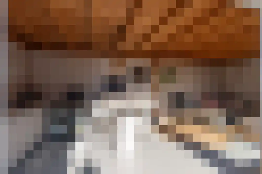 Renata 45 Oisterwijk thumbnail 20