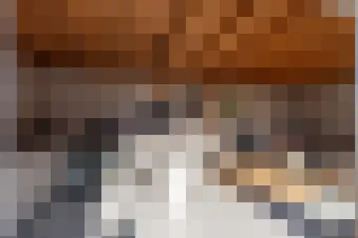 Renata 45 Oisterwijk thumbnail 20