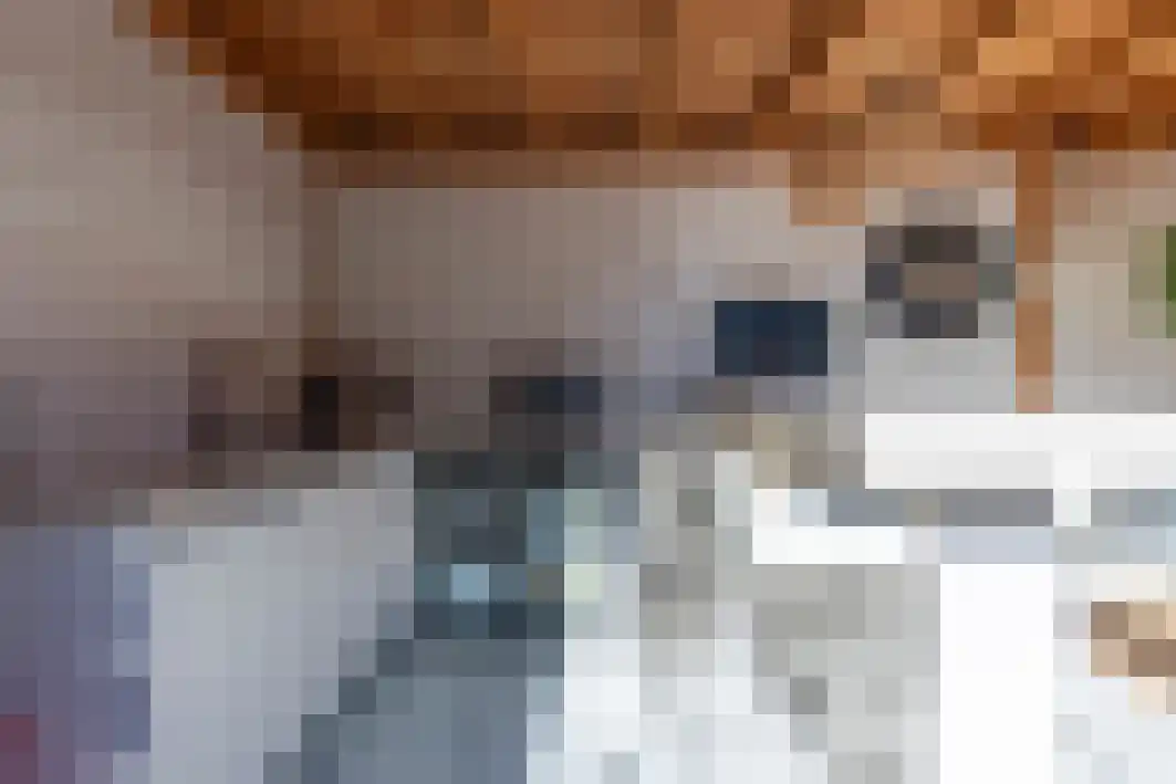 Renata 45 Oisterwijk thumbnail 21
